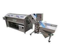 螺旋式根莖清洗去皮機